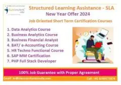 Data Analytics Course in Delhi with Free Python/ R Program by SLA Institute in Delhi, NCR