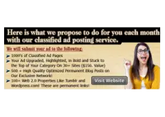Stop Wasting Your Time Posting Your Ads Manually! Let Us Do The Work For You