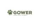 Gower Veterinary Surgery - Swansea