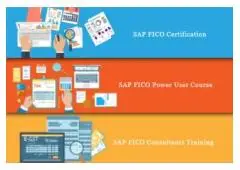 SAP FICO Course in Delhi, 110046, SLA Finance Institute, SAP s/4 Hana Finance 