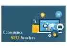 Elevate Your Ecommerce Business with SEO Spidy: The Best Marketing Agency in India