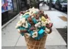 Must-Try Ice Cream Shops in Chicago, IL