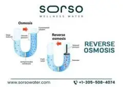 Sorso Wellness Water: Reverse Osmosis for Pure, Healthy Hydration