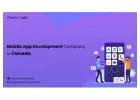 Top-Notch Mobile App Development Company | iTechnolabs