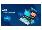 Top Web Development Company: Build Your Website Now with Eliora!